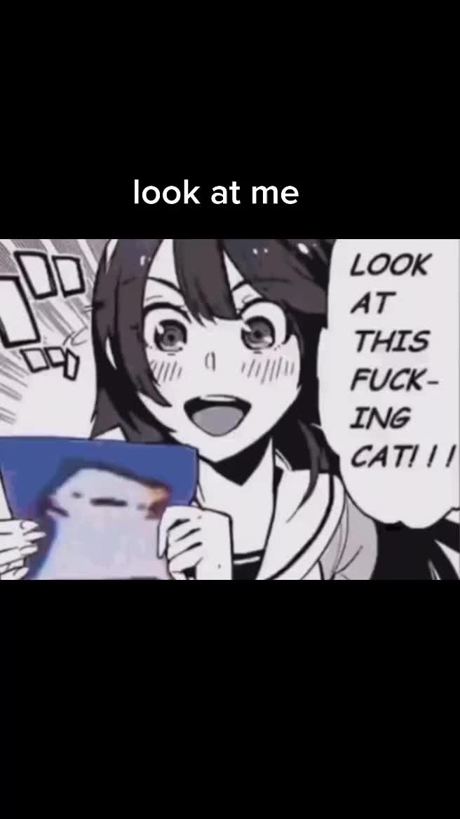 @kfsaber