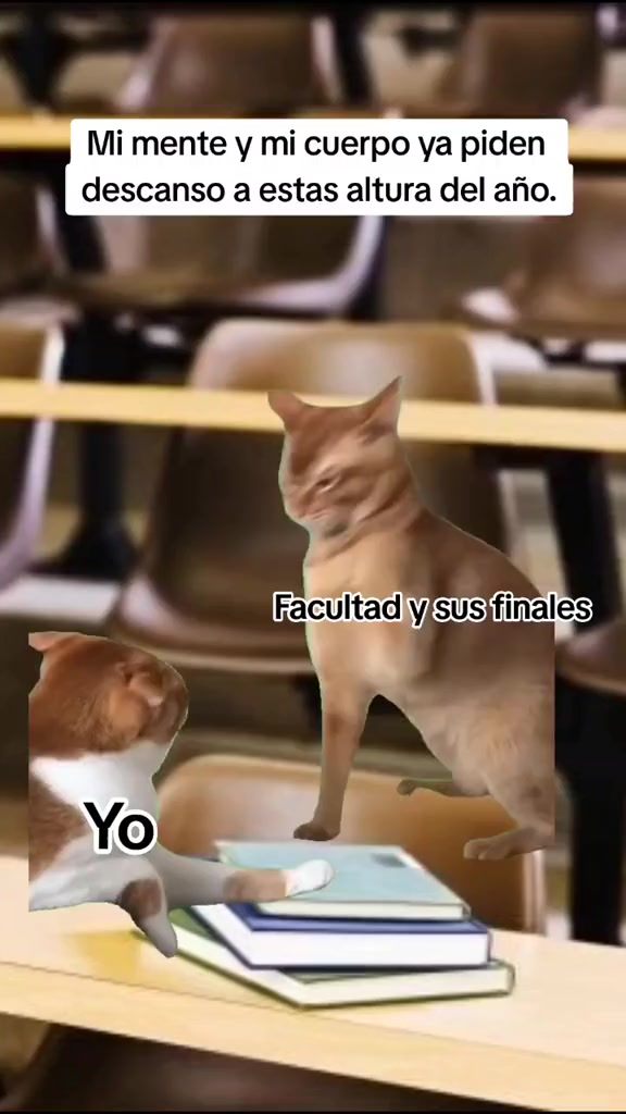 @&Eacute;xito Acad&eacute;mico