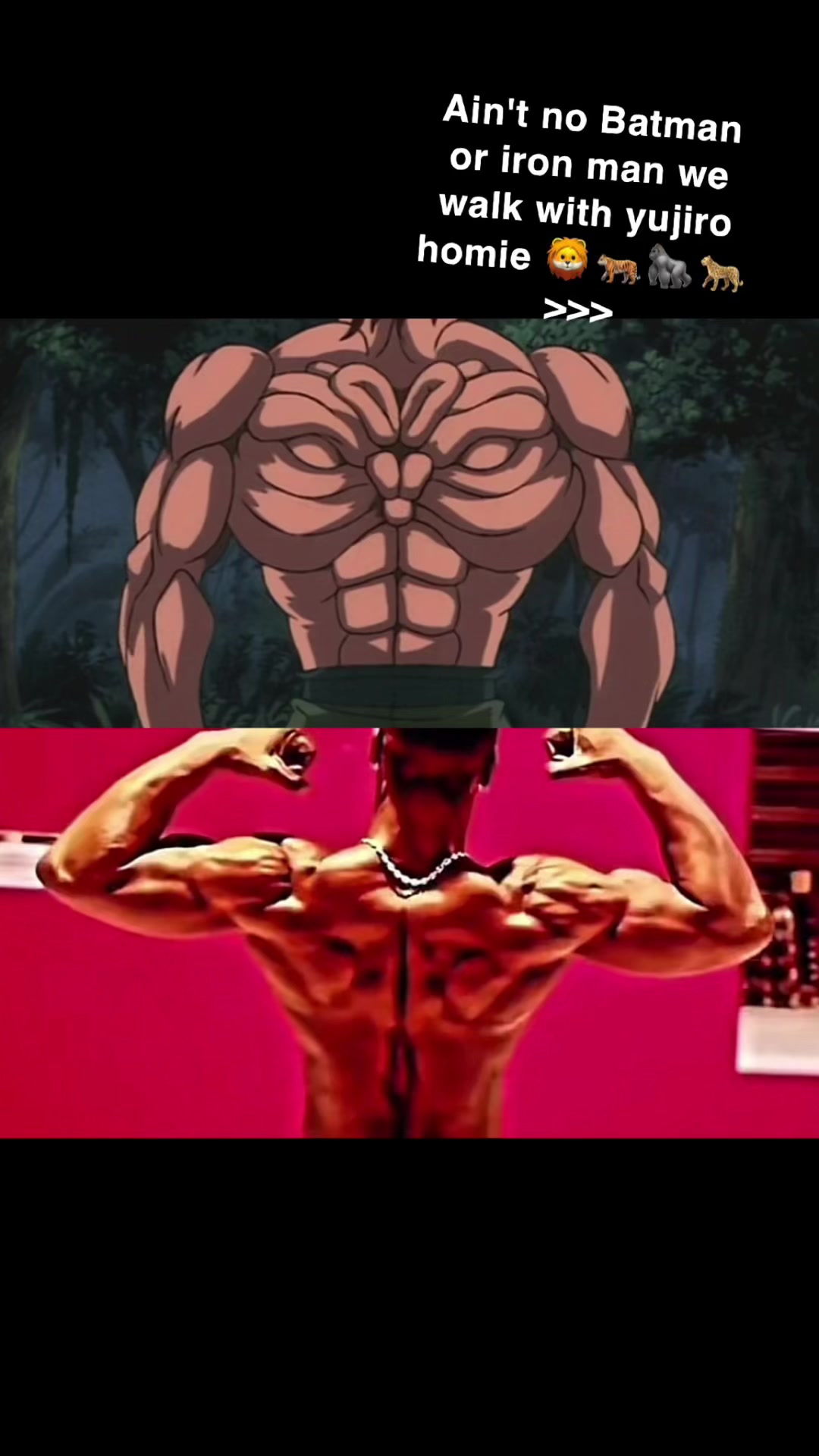 @Oneultra