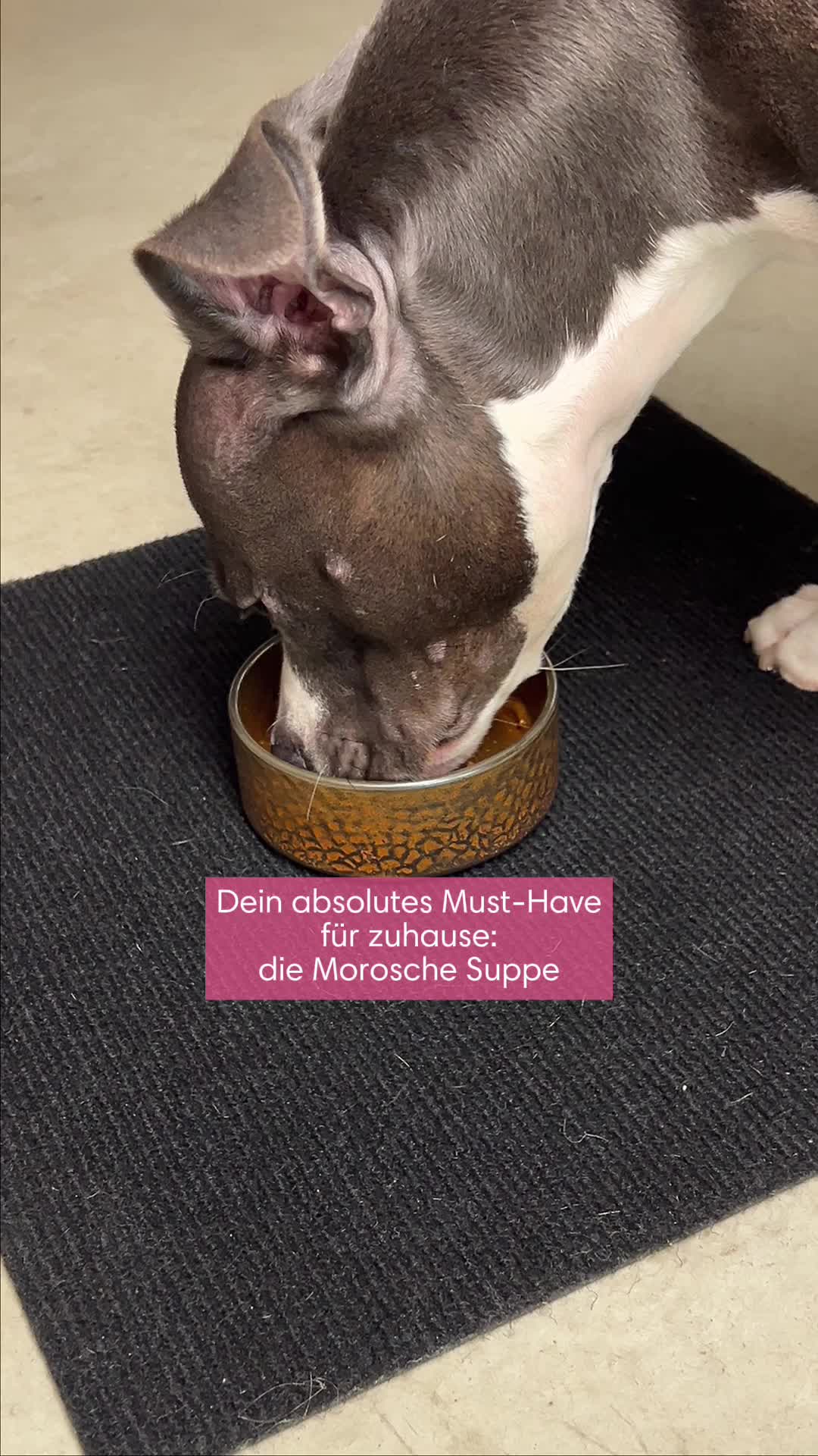 @diefutterbar