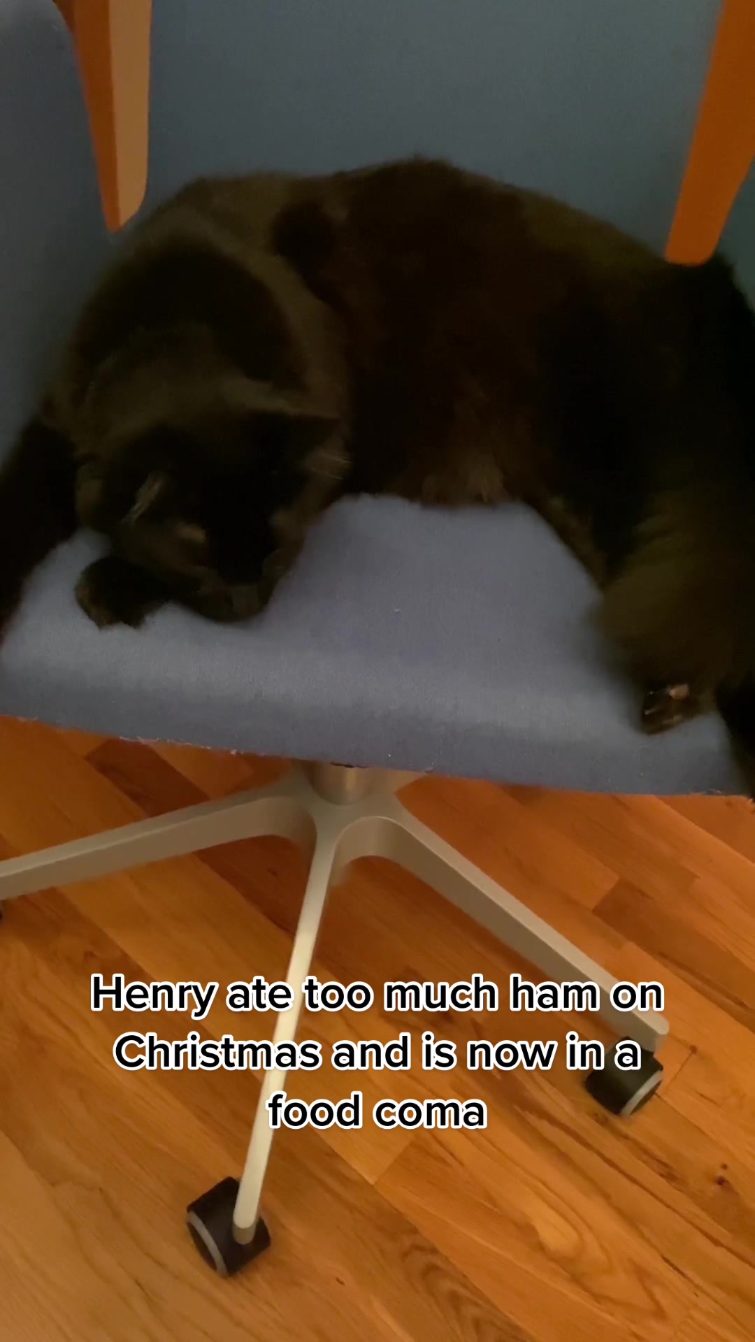 @Moo Bear