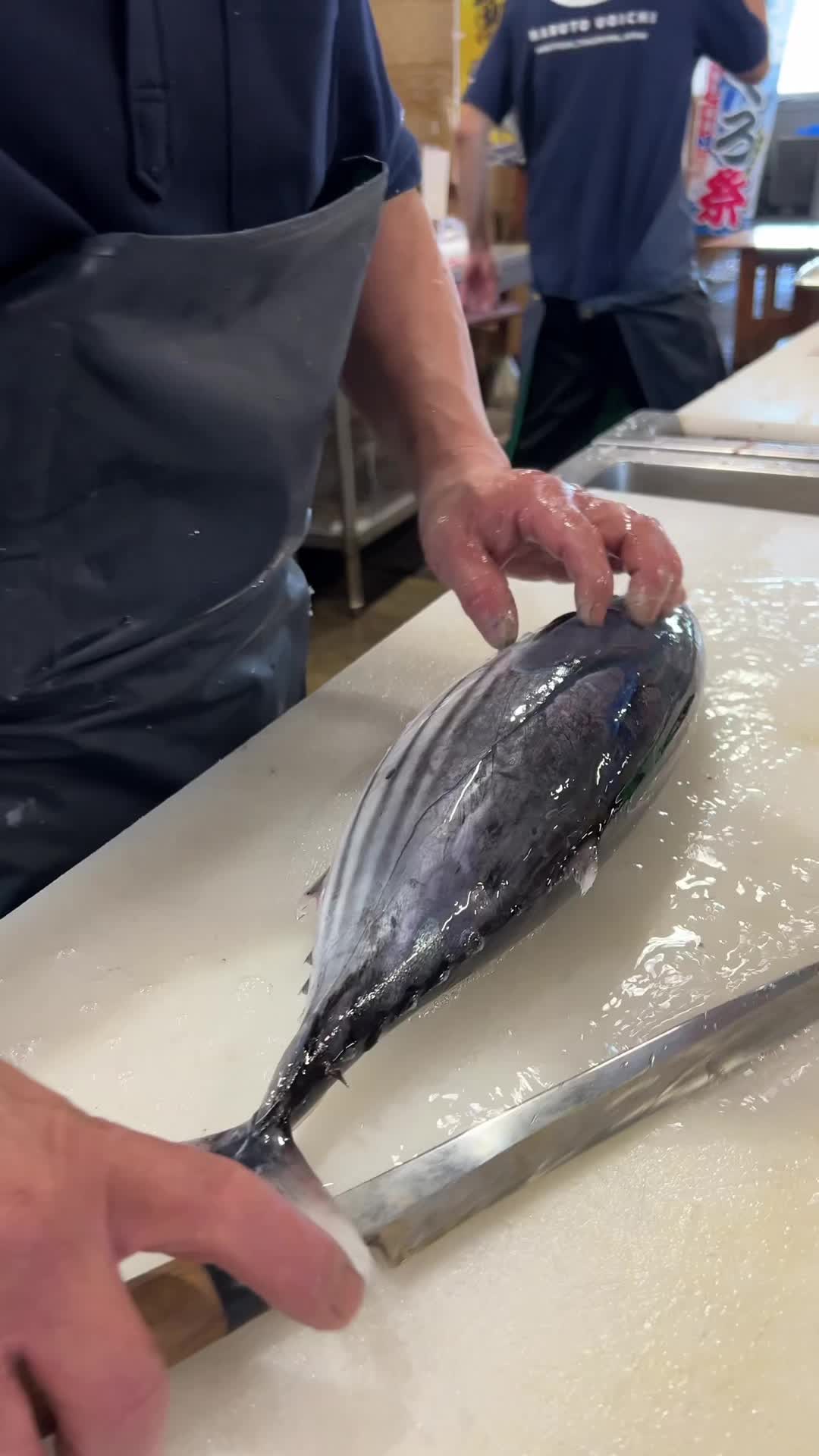 @鳴門魚市のサブ垢