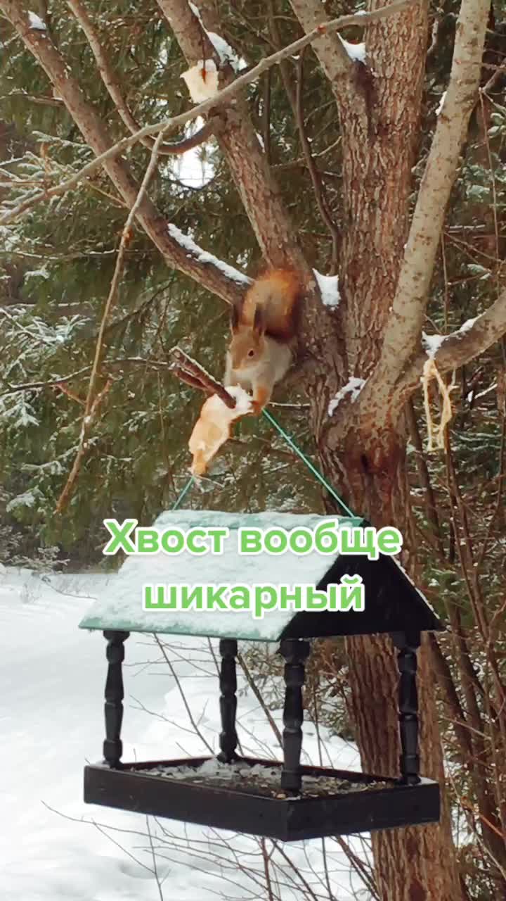 @Татьяна
