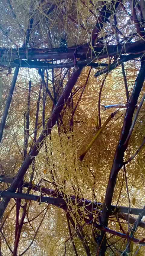 @@Dewasi Samrani