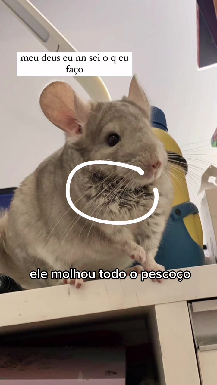 @mihtanino