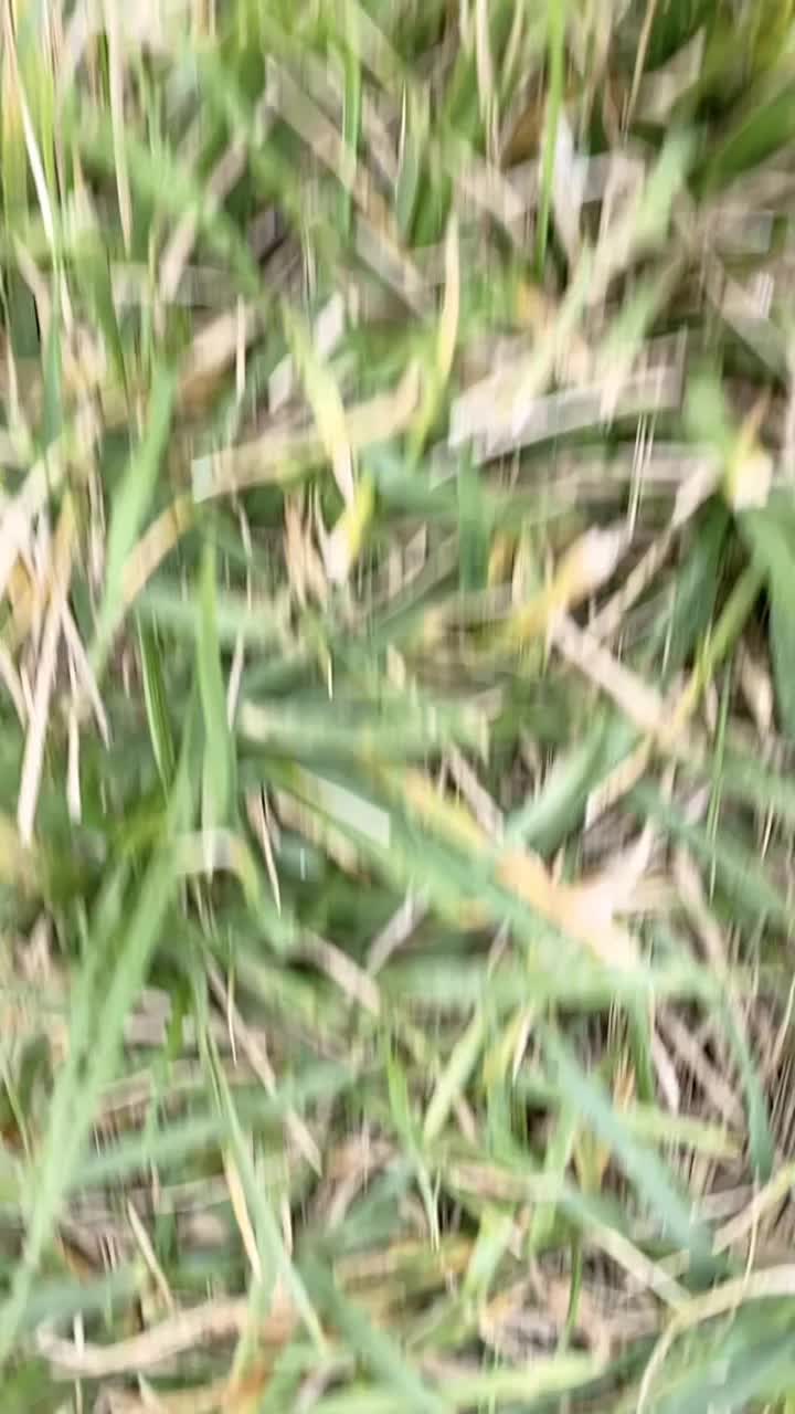 @Samir Bhai
