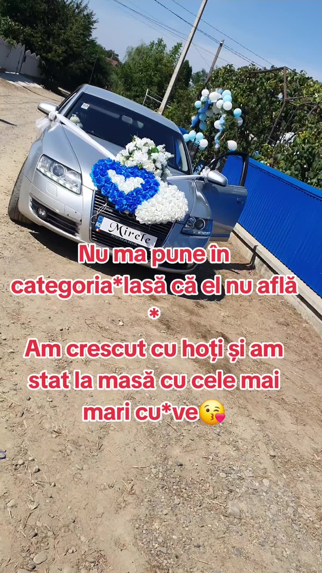 @Denis Gradinaru