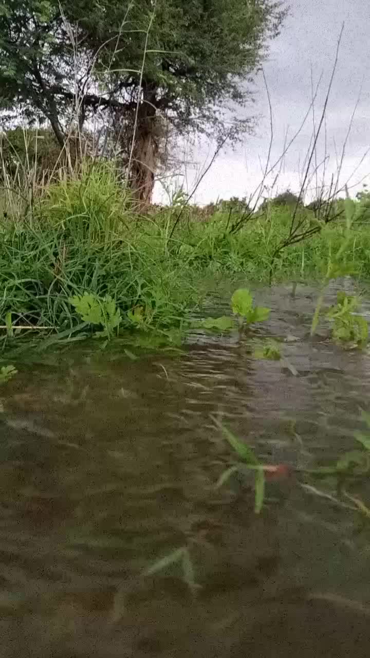@ಗಿರೀಶ ದಚ್ಚು ಹುಡುಗ 🔥