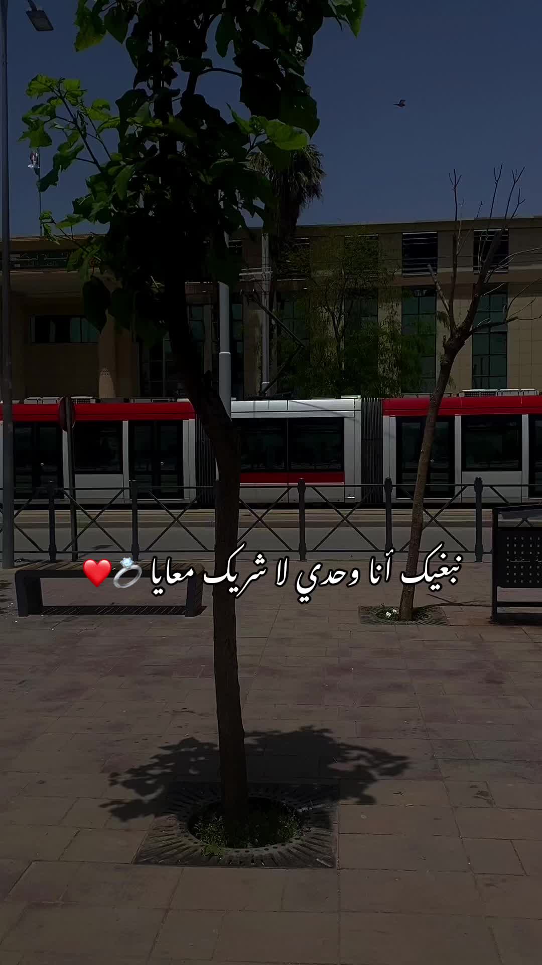@﮼عزيزة ﮼
