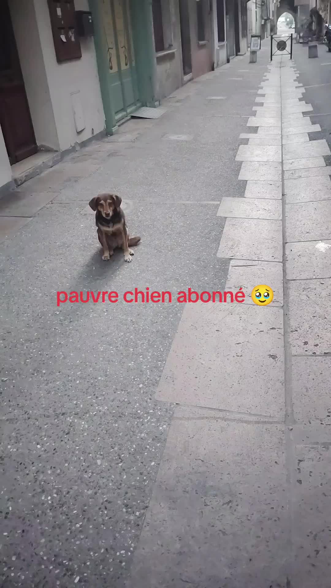 @M&eacute;lanie