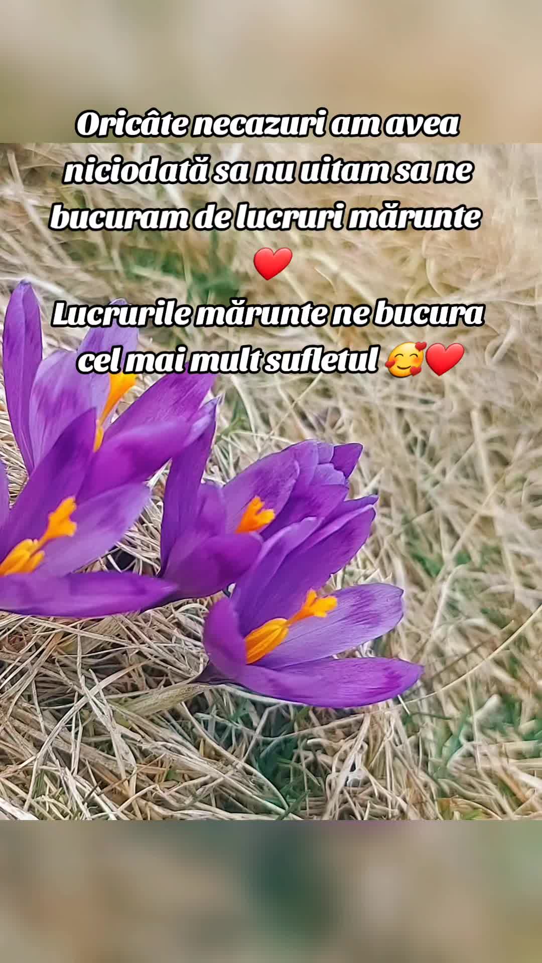 @Laura ❤️