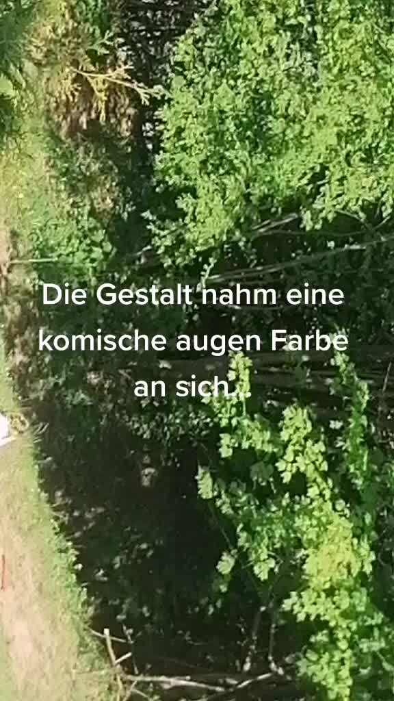 @❤️ Tiere ❤️