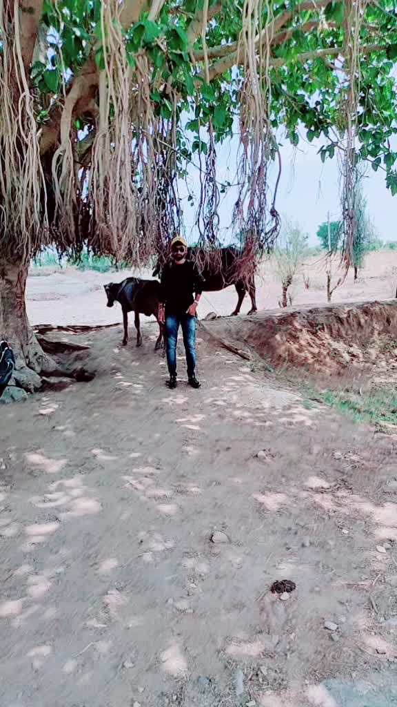 @Nru Desai