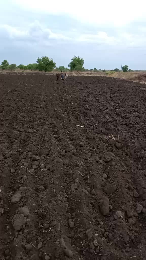@बागल पाटिल