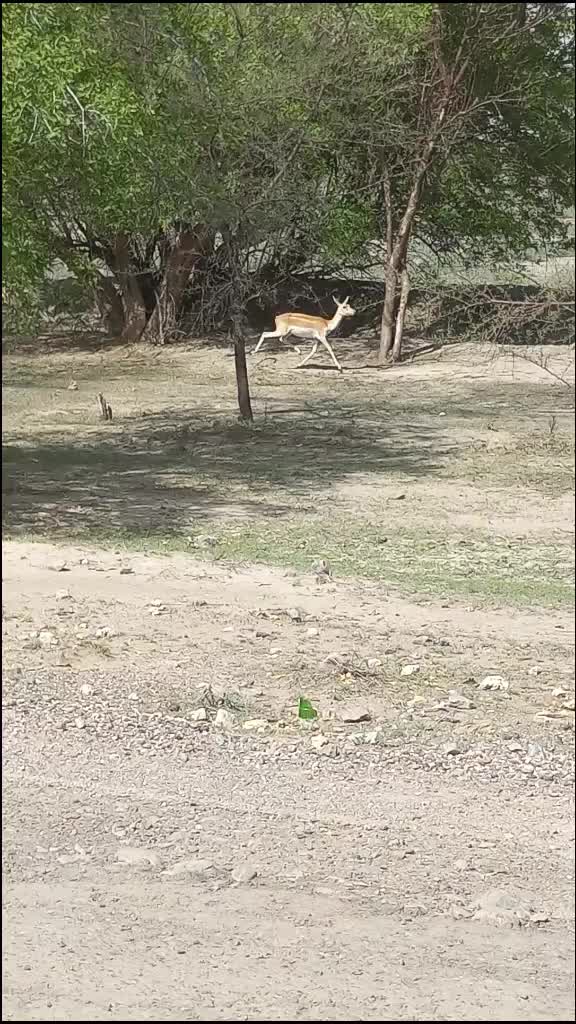 @Dheeraj Kumar Kharra