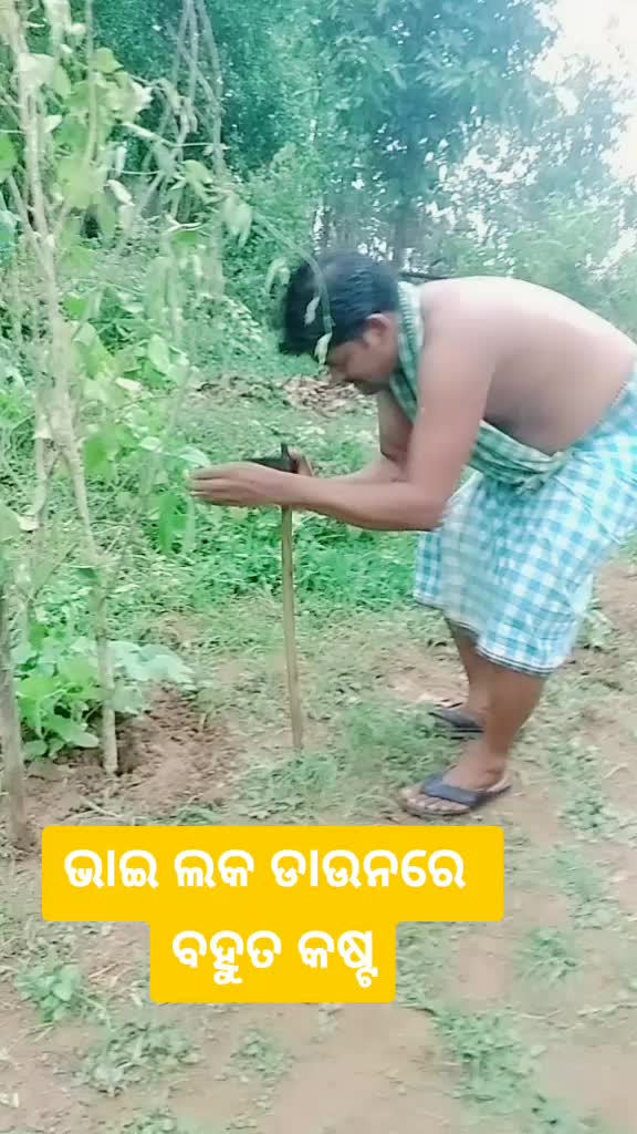@Rajib Sahoo