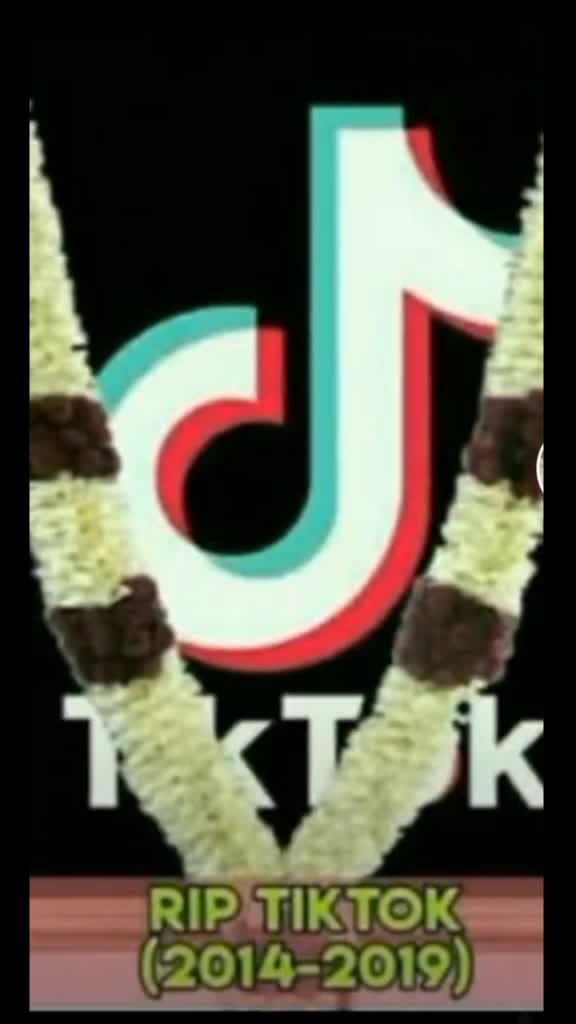 @Bibash Tiktok