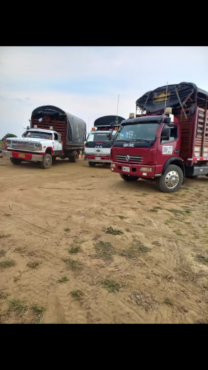 @Ronalarias01