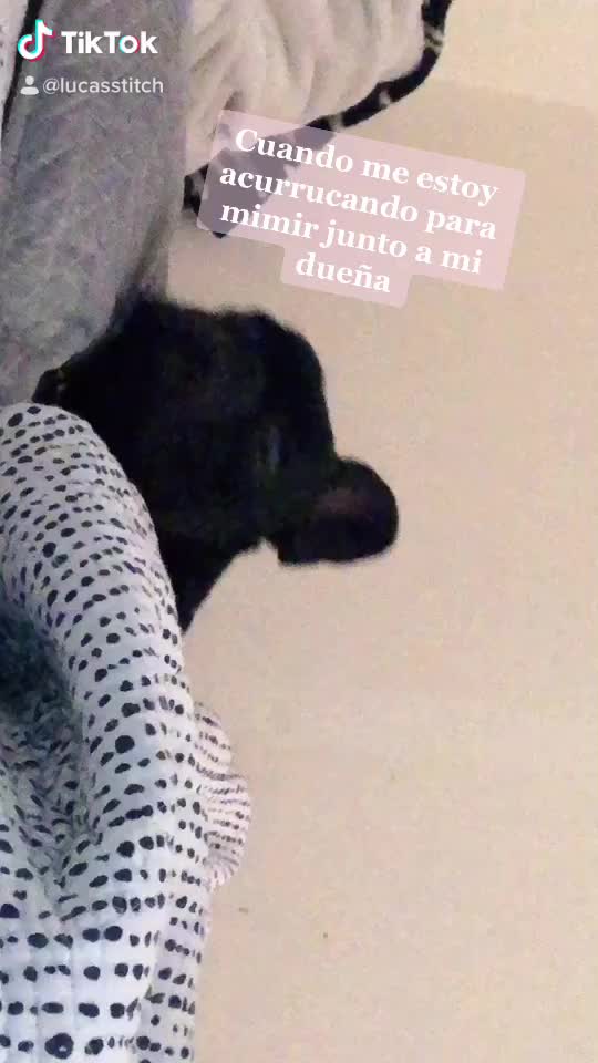 @Chimuelo Francés