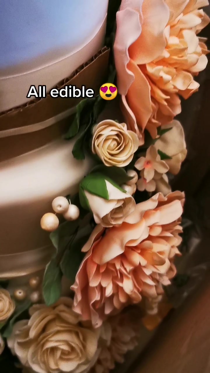 @Eliza.discover