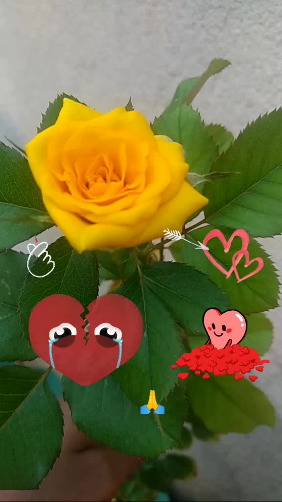 @S. Deepa