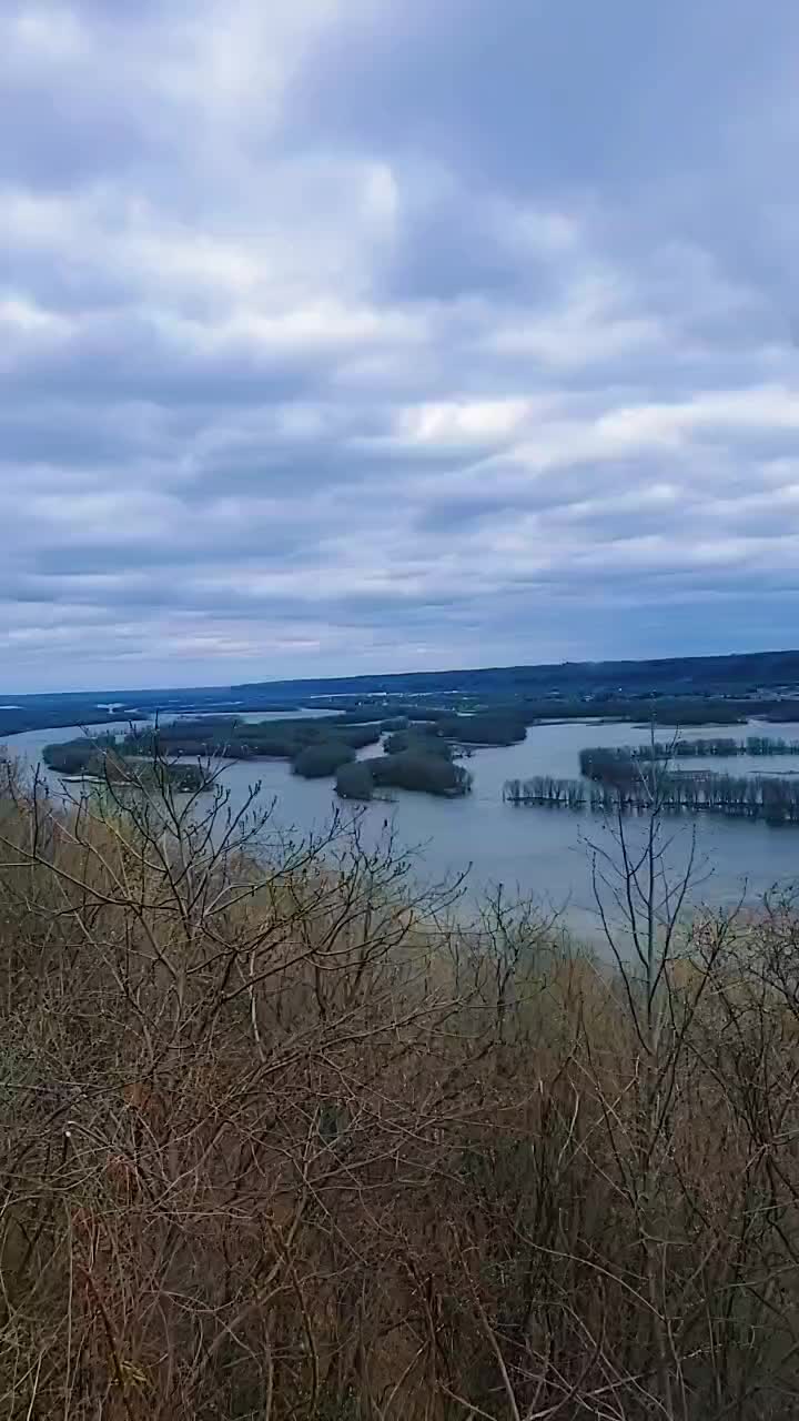 @King_thommy👑