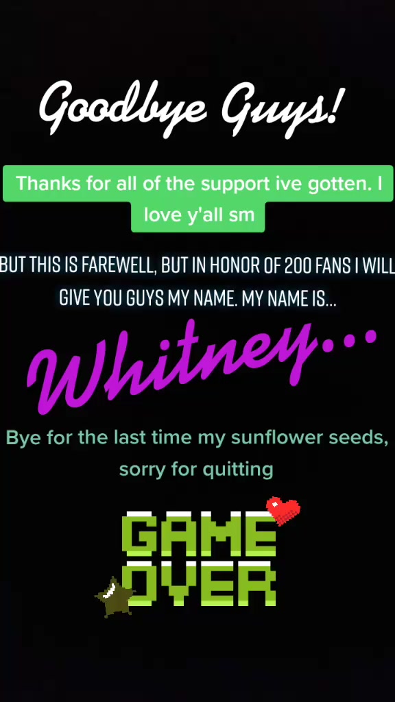 @s u n f l o w e r
