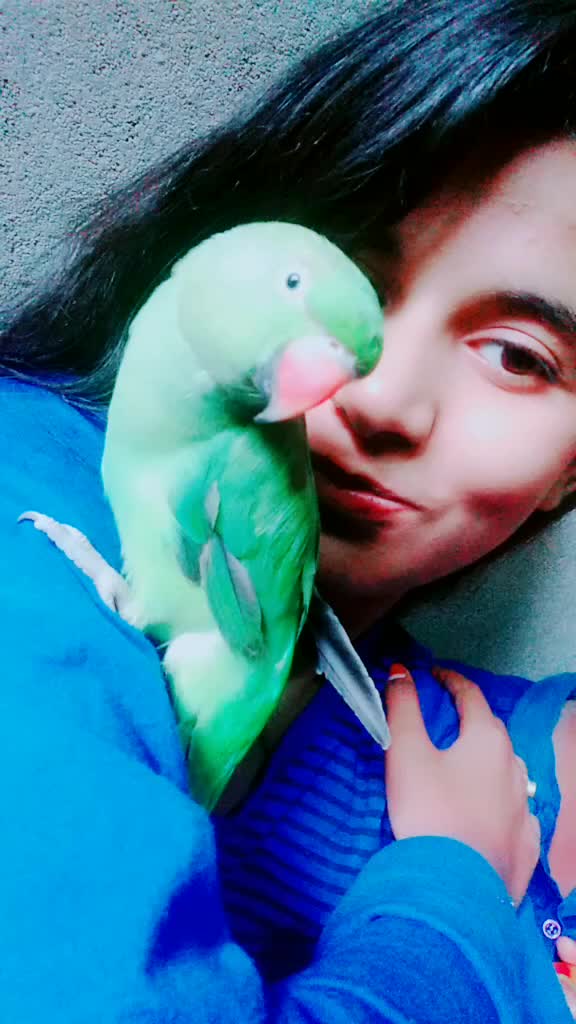 @❣️❤️Princess❤️❣️