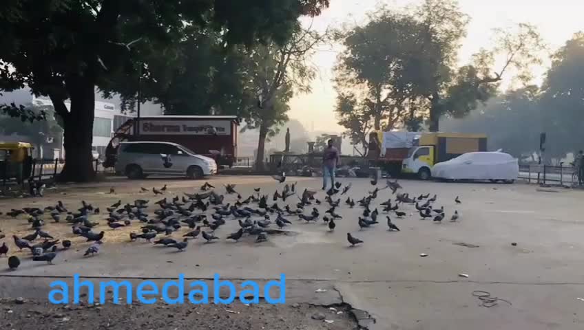 @user2264245241804