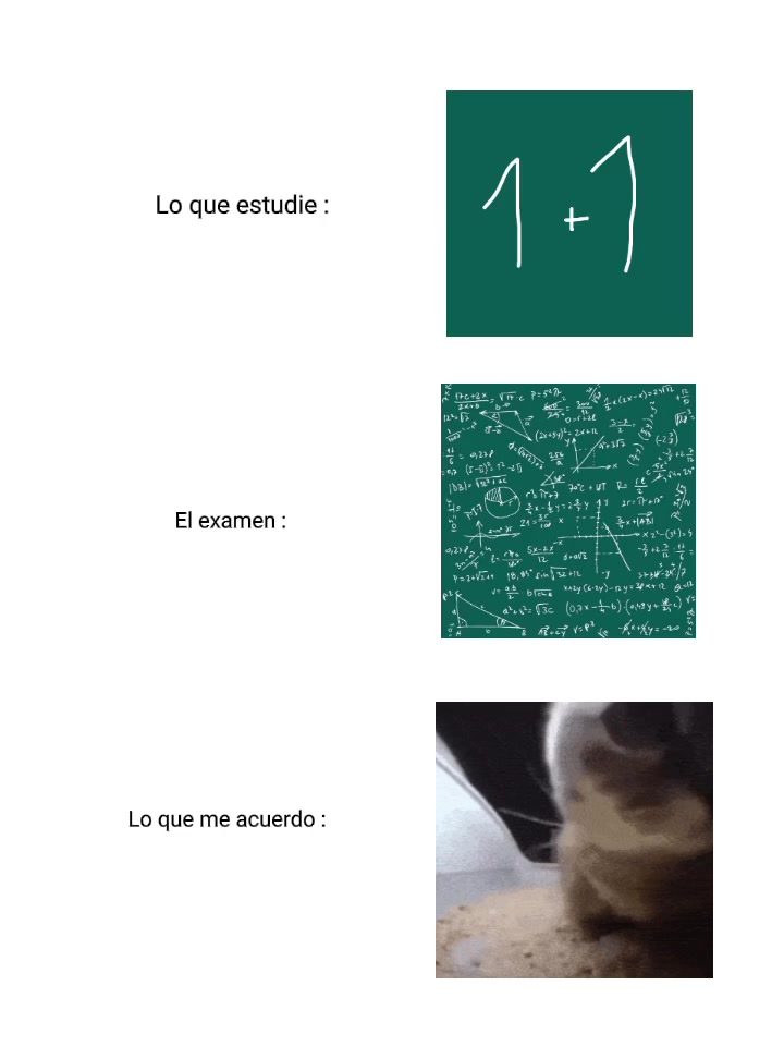 @𝙁𝙇𝙊𝙋𝙋𝘼_𝙈𝙀𝙈𝙀𝙍𝙊100