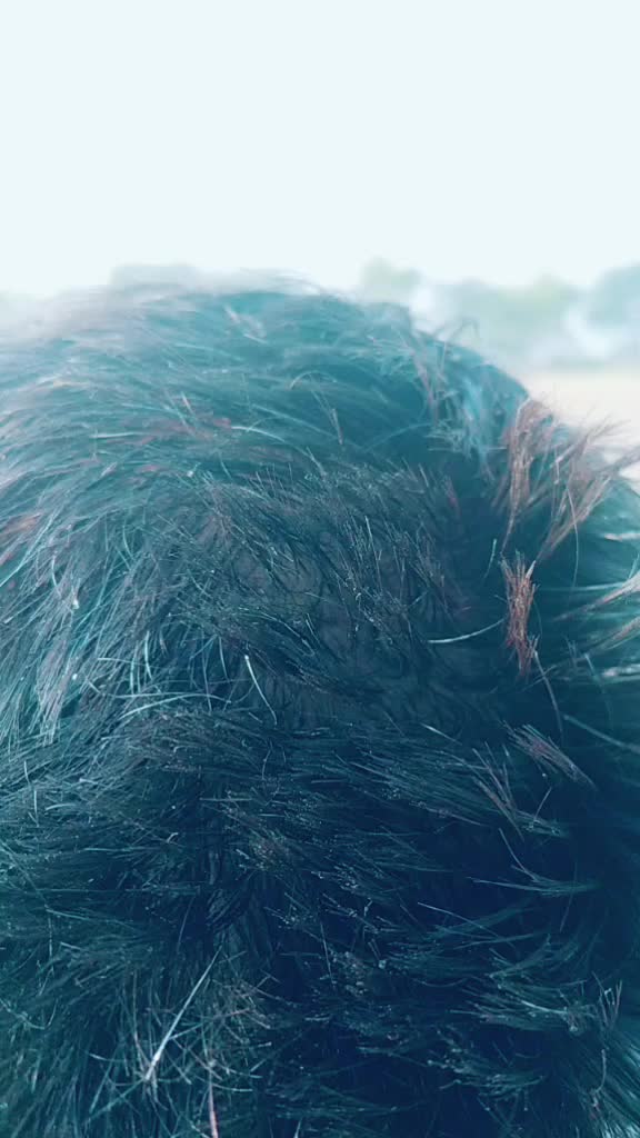 @Rambir Saharan