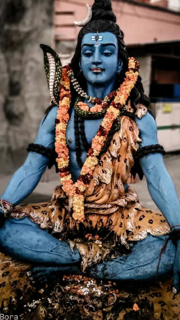 @Puneet Bharwal