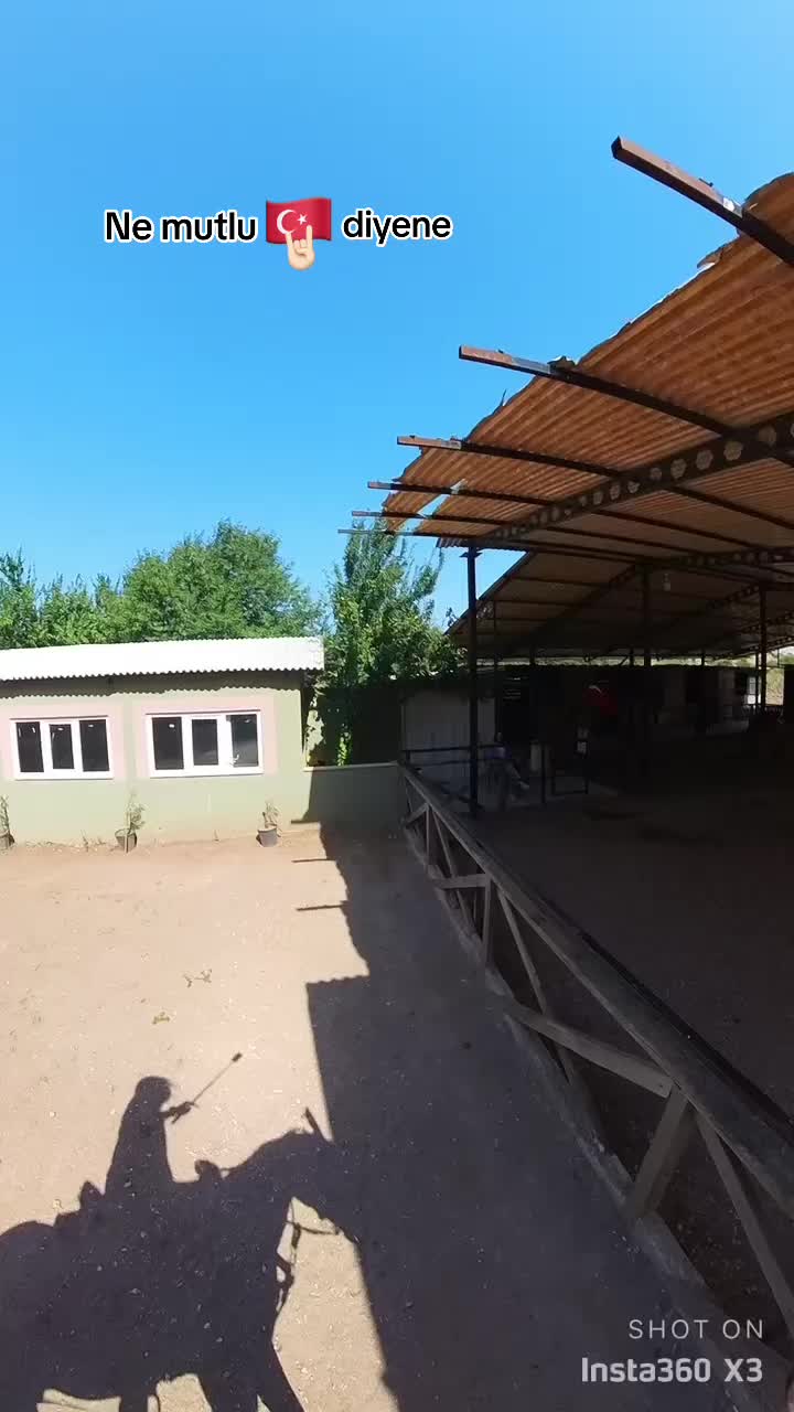 @sena altın