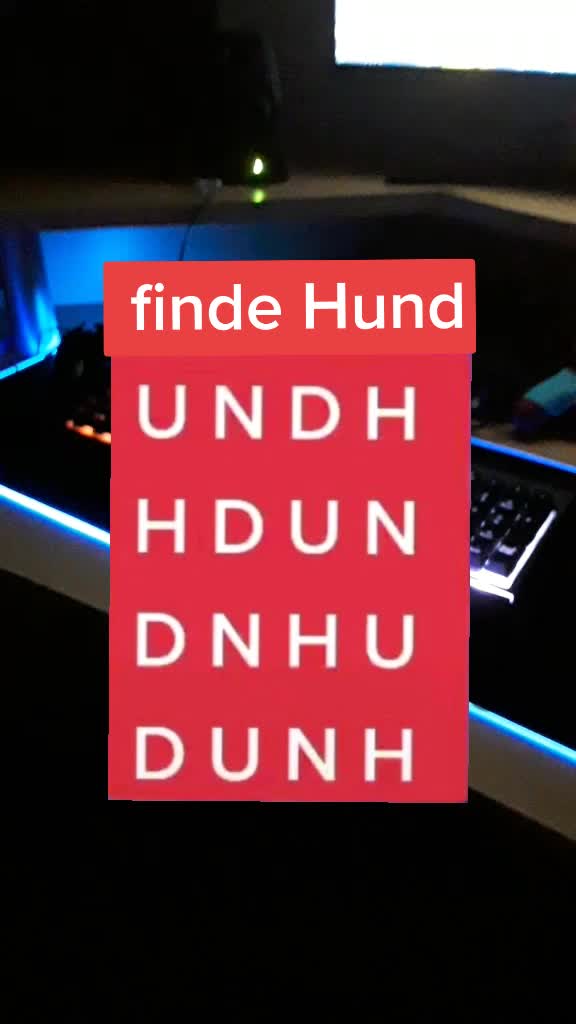 @Marcisteinhund12
