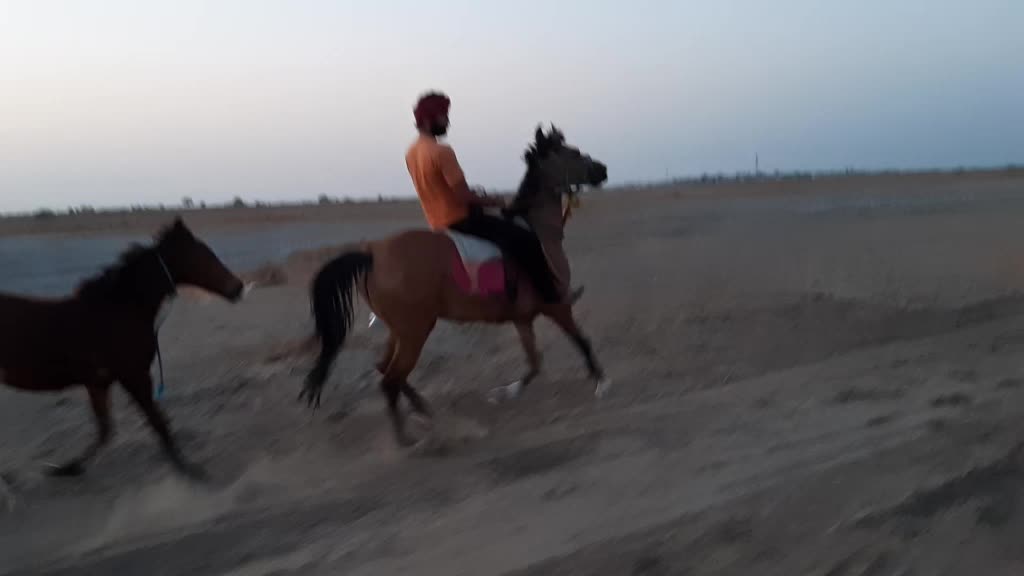 @Dhanrajsinh Bhadiyad