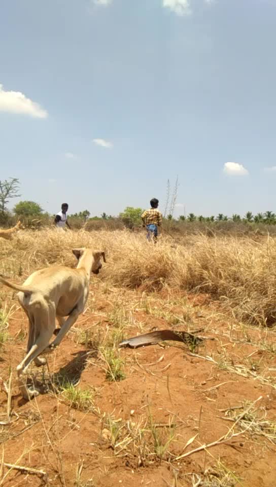 @Silambu Valli