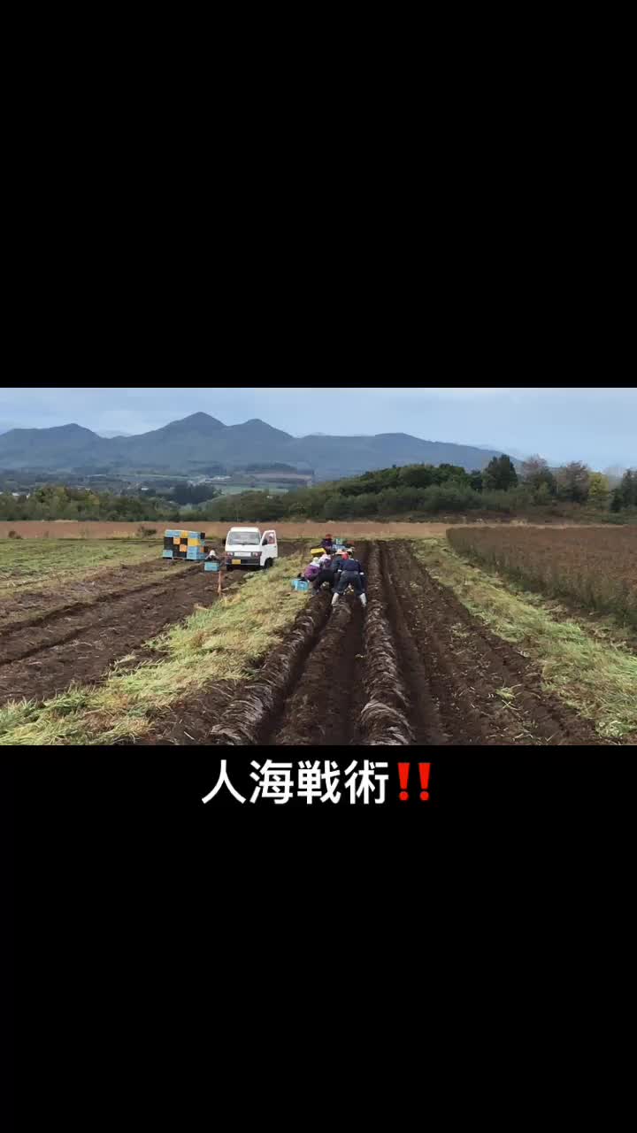 @アグリノムラ