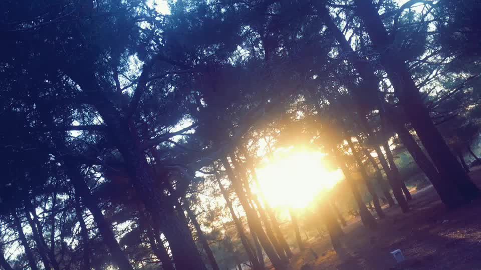 @Asli balik16