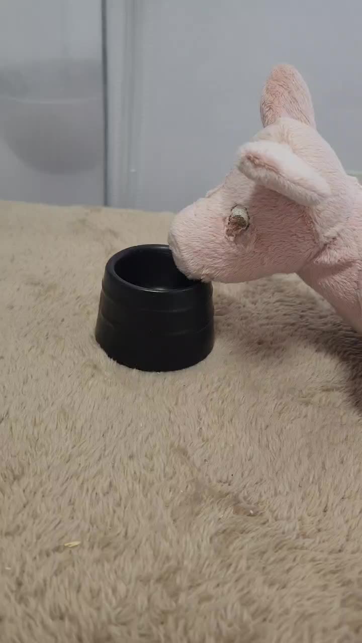 @チンチラプー子