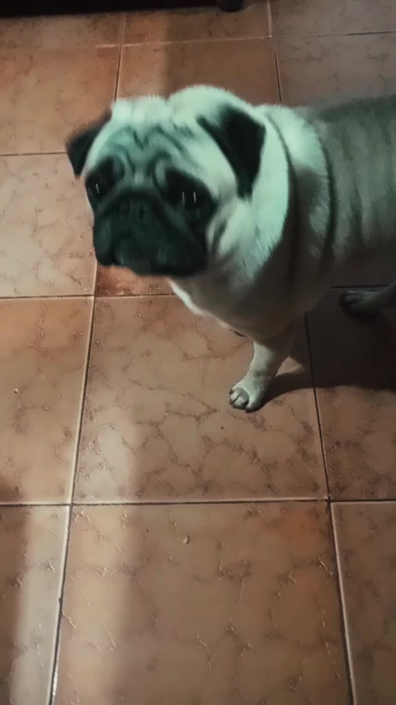 @Macarena Varela