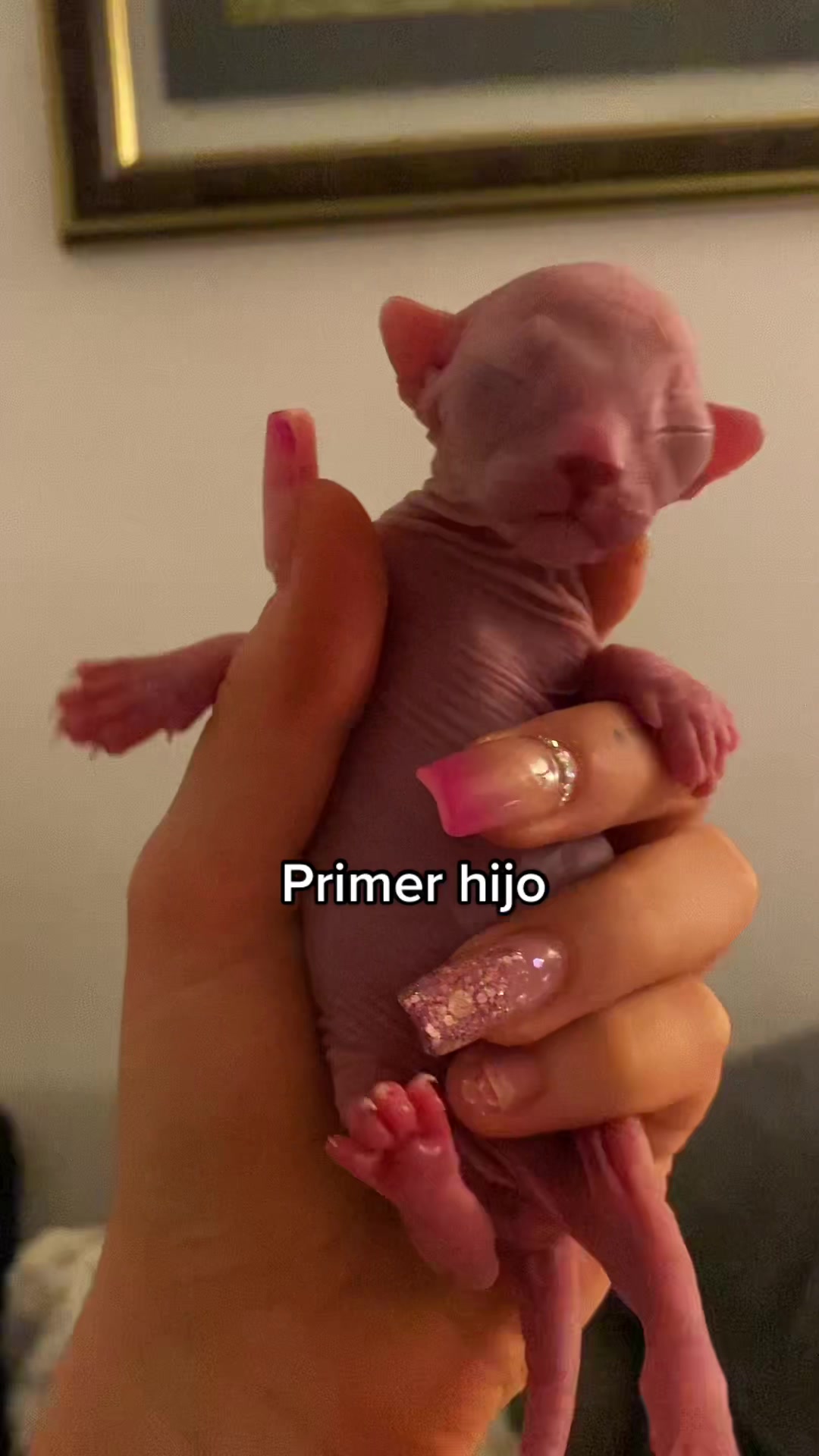 @x0x0ali