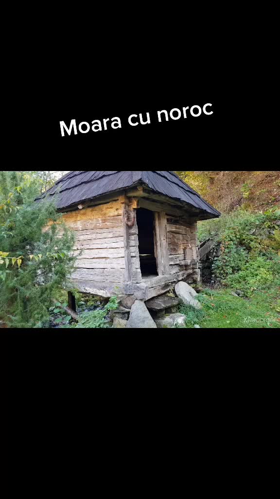 @Raluca Brezniceanu