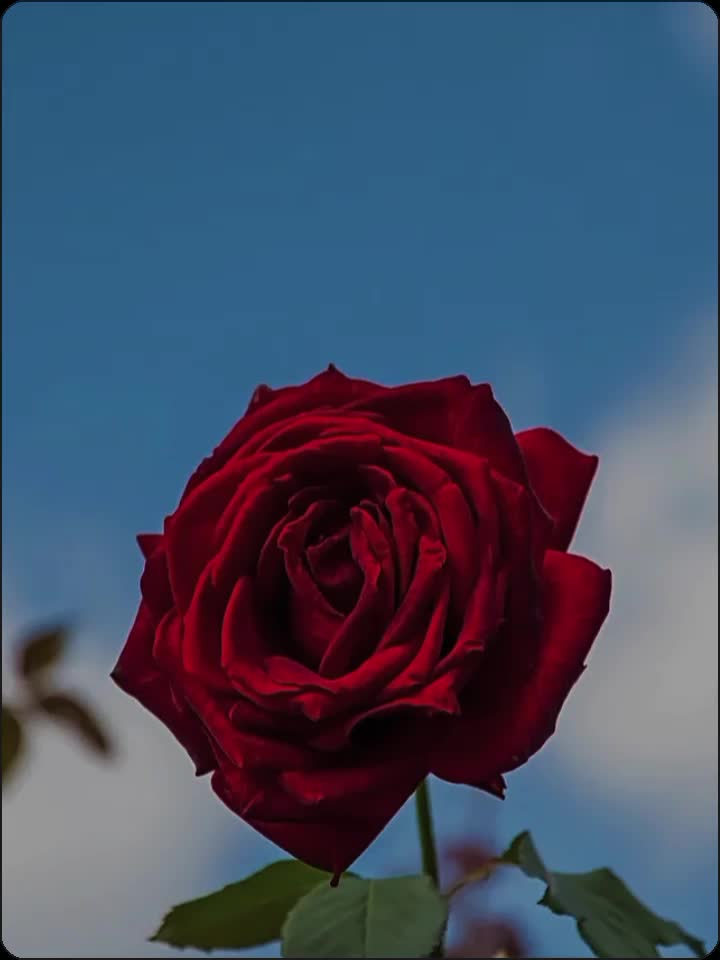 @_asthtc