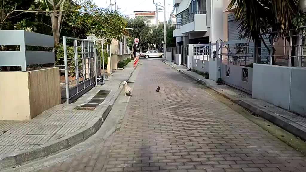 @nikos p176