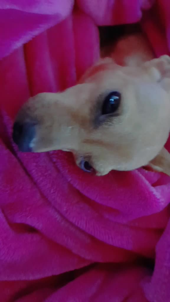 @기린♡!?