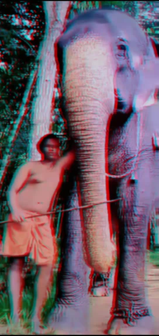 @sujith babu