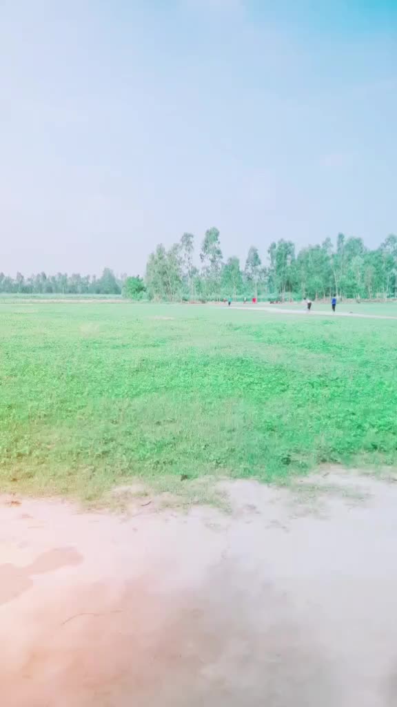 @Labi Roy
