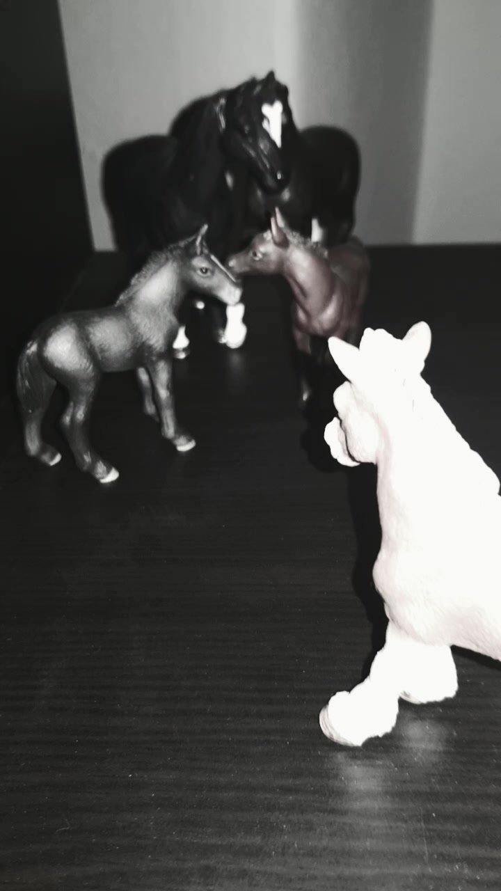 @schleich_welt
