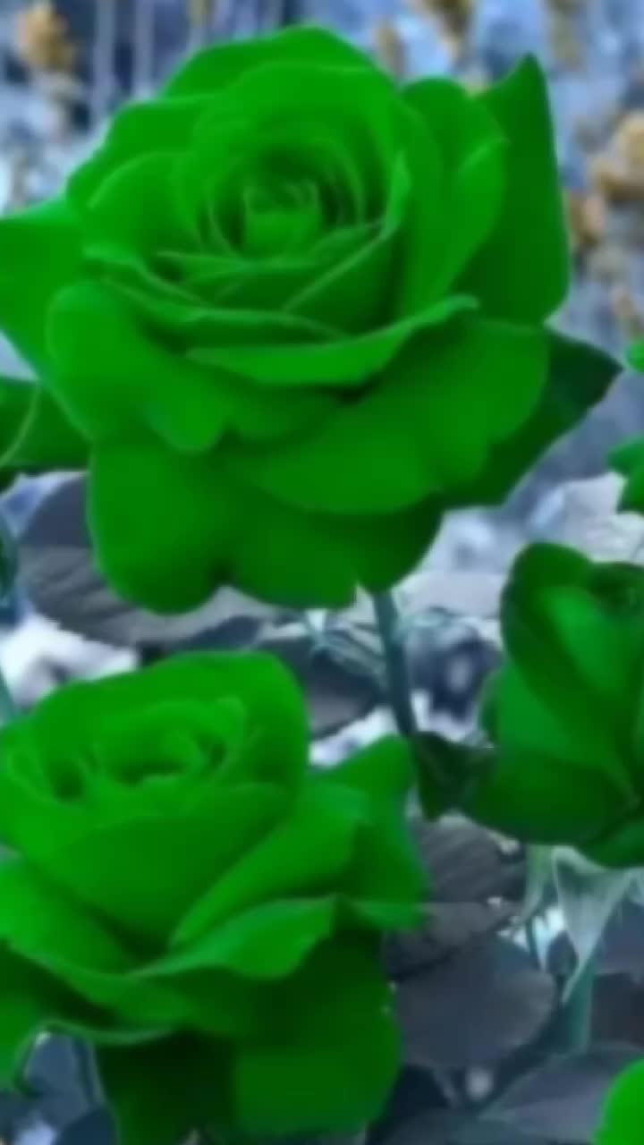 @Mukti Mahato