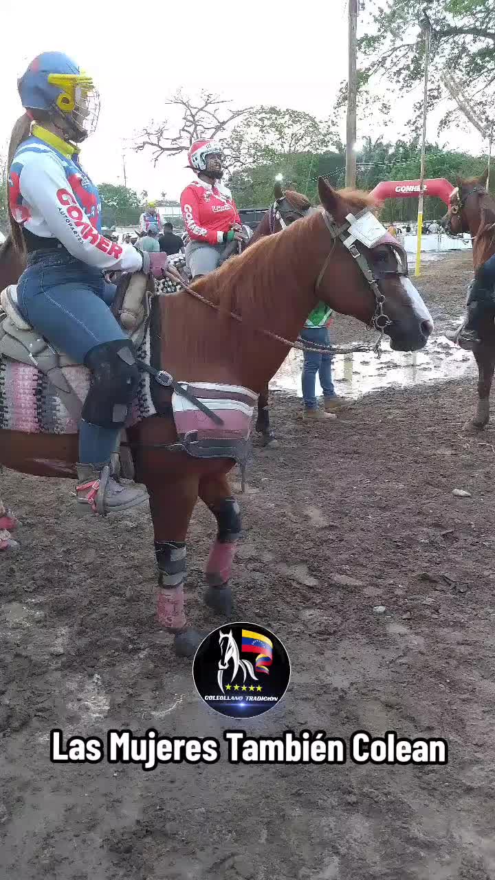 @@Coleollano_tradicion
